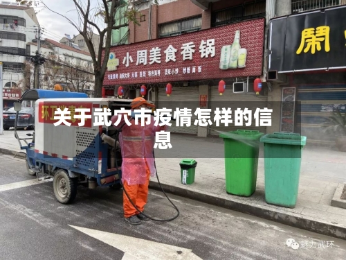 关于武穴市疫情怎样的信息-第2张图片