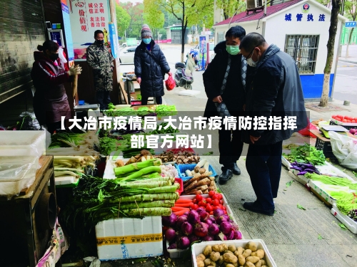 【大冶市疫情局,大冶市疫情防控指挥部官方网站】-第2张图片