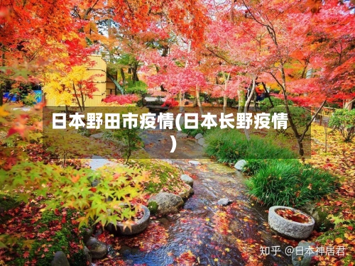 日本野田市疫情(日本长野疫情)