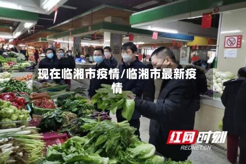 现在临湘市疫情/临湘市最新疫情