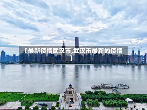 【最新疫情武汉市,武汉市最新的疫情】