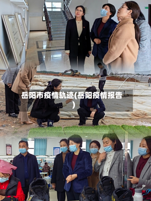 岳阳市疫情轨迹(岳阳疫情报告)