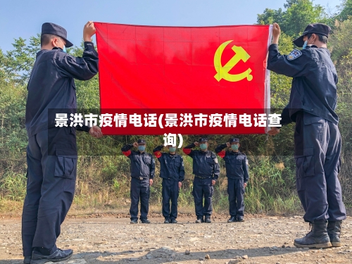 景洪市疫情电话(景洪市疫情电话查询)-第2张图片