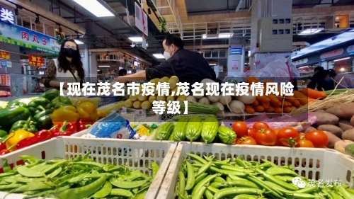 【现在茂名市疫情,茂名现在疫情风险等级】