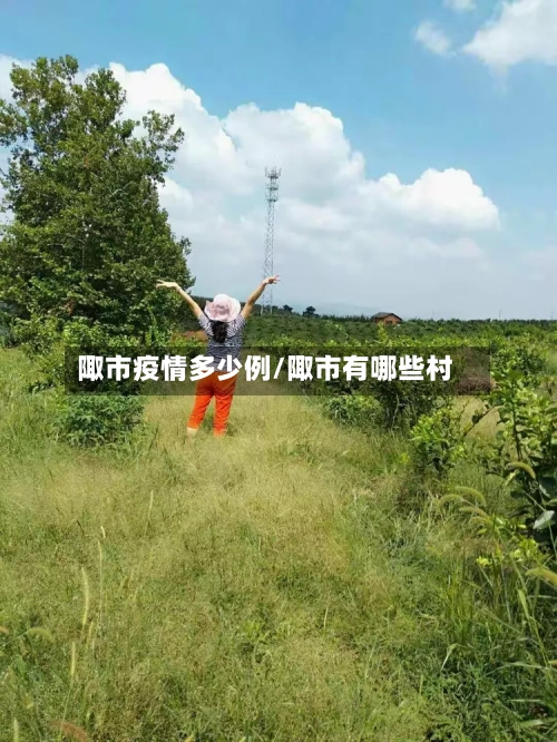 陬市疫情多少例/陬市有哪些村