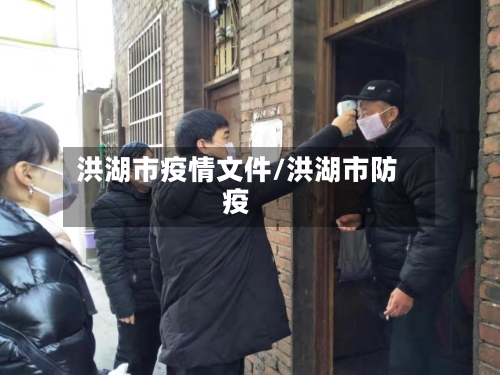 洪湖市疫情文件/洪湖市防疫
