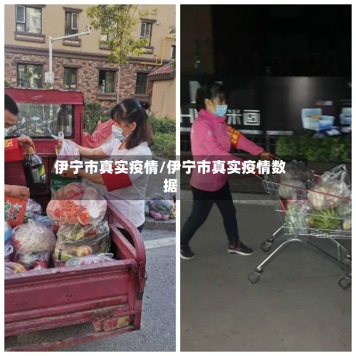 伊宁市真实疫情/伊宁市真实疫情数据