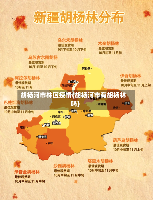 胡杨河市林区疫情(胡杨河市有胡杨林吗)