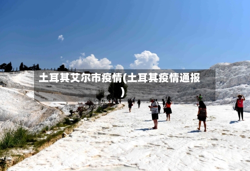 土耳其艾尔市疫情(土耳其疫情通报)