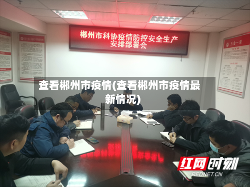 查看郴州市疫情(查看郴州市疫情最新情况)-第2张图片