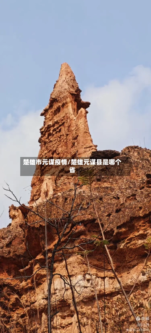 楚雄市元谋疫情/楚雄元谋县是哪个省-第3张图片