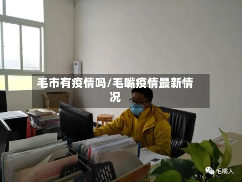 毛市有疫情吗/毛嘴疫情最新情况-第3张图片