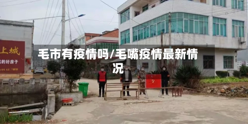 毛市有疫情吗/毛嘴疫情最新情况-第2张图片