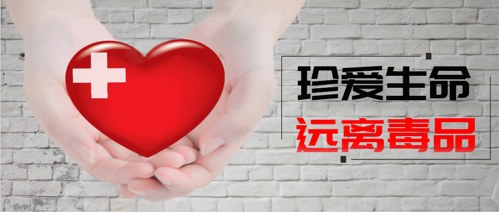 衡阳市登革热疫情(衡阳市新型肺炎疫情最新动态)-第2张图片