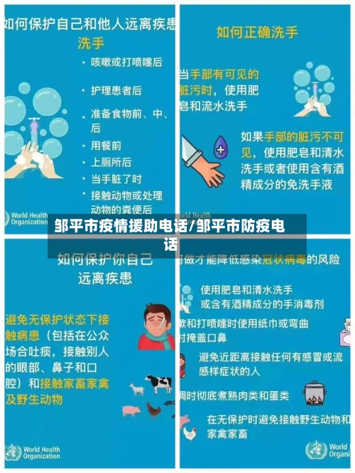 邹平市疫情援助电话/邹平市防疫电话