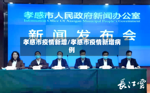 孝感市疫情新增/孝感市疫情新增病例-第2张图片