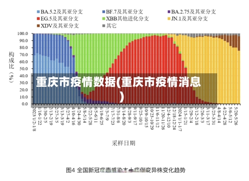 重庆市疫情数据(重庆市疫情消息)-第2张图片