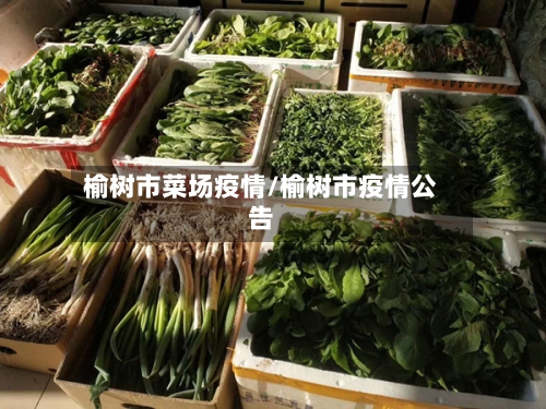 榆树市菜场疫情/榆树市疫情公告-第3张图片