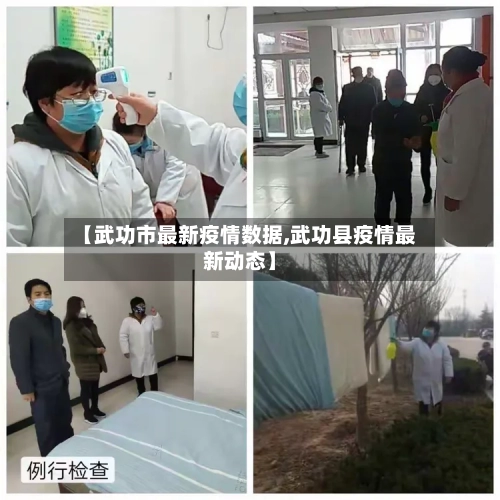 【武功市最新疫情数据,武功县疫情最新动态】-第2张图片