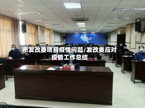 市发改委项目疫情问题/发改委应对疫情工作总结-第2张图片