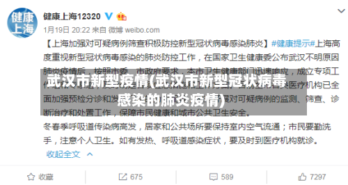 武汉市新型疫情(武汉市新型冠状病毒感染的肺炎疫情)-第3张图片
