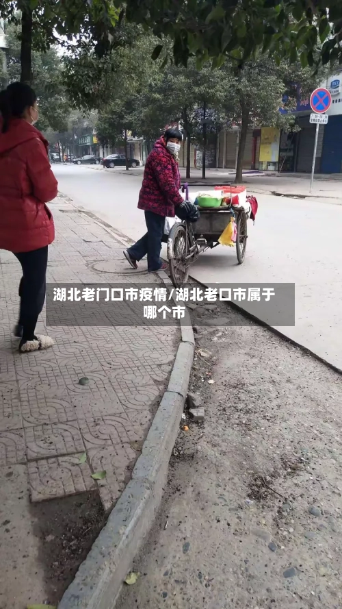 湖北老门口市疫情/湖北老口市属于哪个市