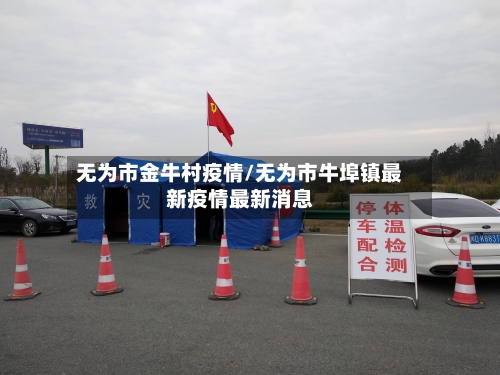无为市金牛村疫情/无为市牛埠镇最新疫情最新消息