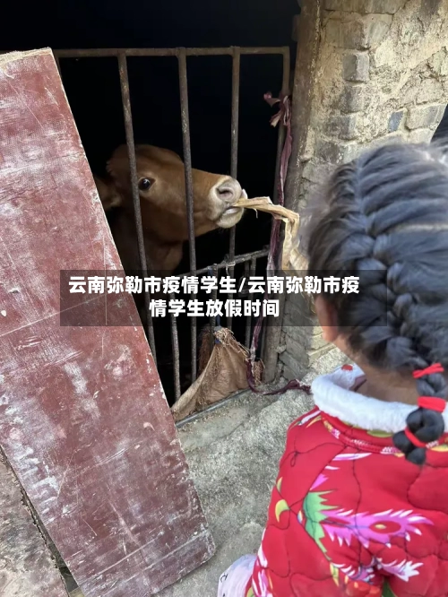 云南弥勒市疫情学生/云南弥勒市疫情学生放假时间-第3张图片