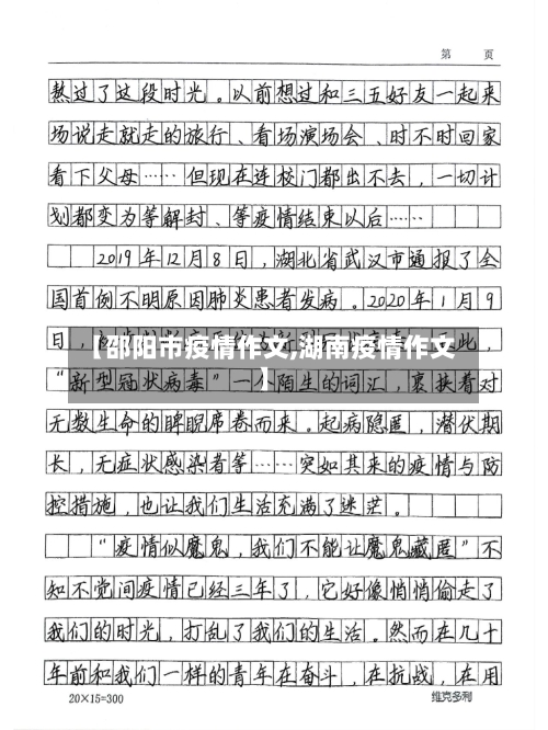 【邵阳市疫情作文,湖南疫情作文】-第2张图片