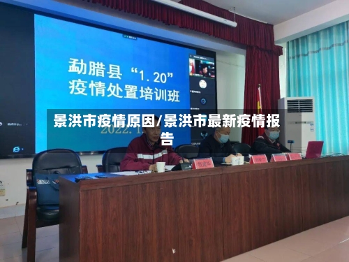 景洪市疫情原因/景洪市最新疫情报告