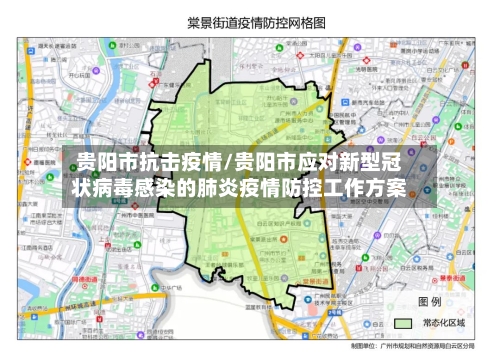 贵阳市抗击疫情/贵阳市应对新型冠状病毒感染的肺炎疫情防控工作方案-第3张图片