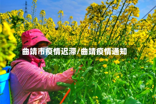 曲靖市疫情迟滞/曲靖疫情通知-第2张图片