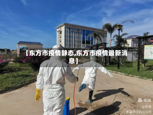 【东方市疫情静态,东方市疫情最新消息】