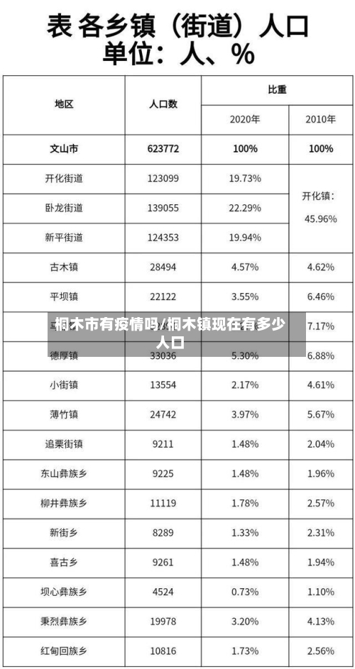 桐木市有疫情吗/桐木镇现在有多少人口-第2张图片