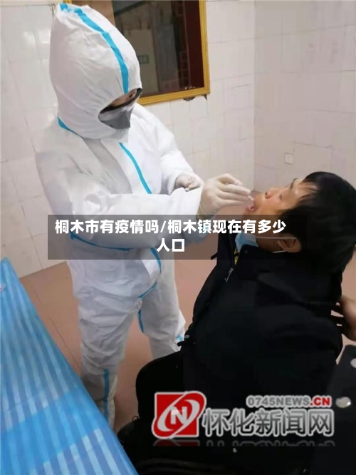桐木市有疫情吗/桐木镇现在有多少人口-第3张图片