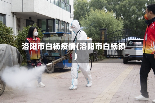 洛阳市白杨疫情(洛阳市白杨镇)