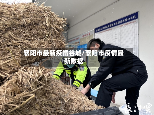 襄阳市最新疫情谷城/襄阳市疫情最新数据-第2张图片