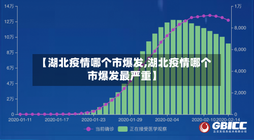 【湖北疫情哪个市爆发,湖北疫情哪个市爆发最严重】