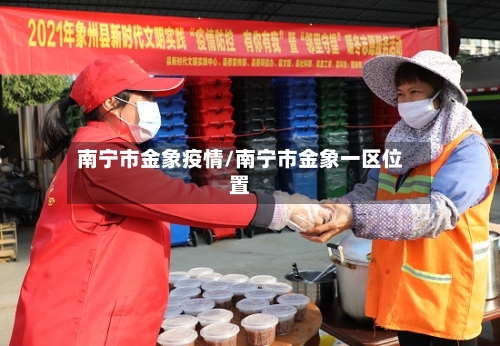 南宁市金象疫情/南宁市金象一区位置