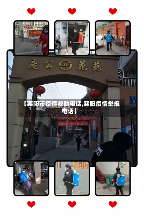 【襄阳市疫情救助电话,襄阳疫情举报电话】-第2张图片