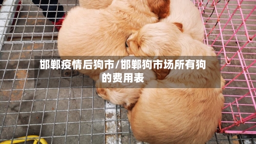 邯郸疫情后狗市/邯郸狗市场所有狗的费用表-第3张图片