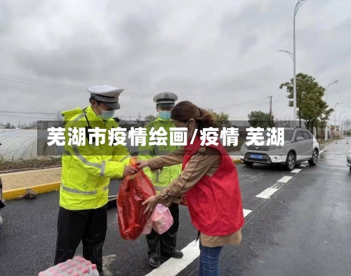 芜湖市疫情绘画/疫情 芜湖-第2张图片