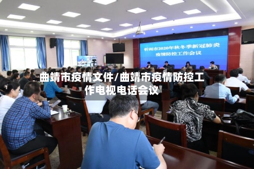 曲靖市疫情文件/曲靖市疫情防控工作电视电话会议-第2张图片