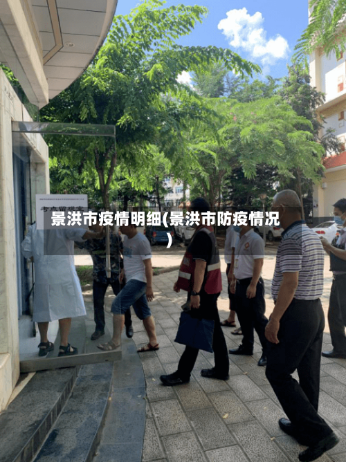 景洪市疫情明细(景洪市防疫情况)