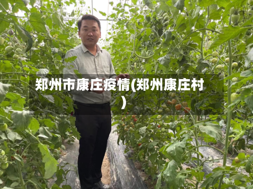 郑州市康庄疫情(郑州康庄村)