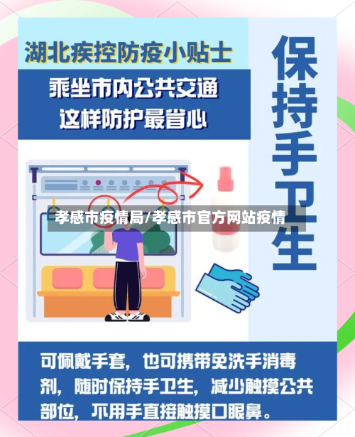 孝感市疫情局/孝感市官方网站疫情-第2张图片