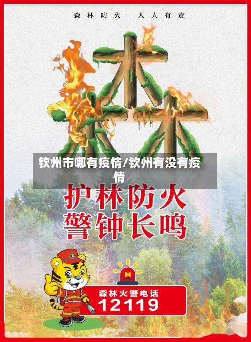 钦州市哪有疫情/钦州有没有疫情