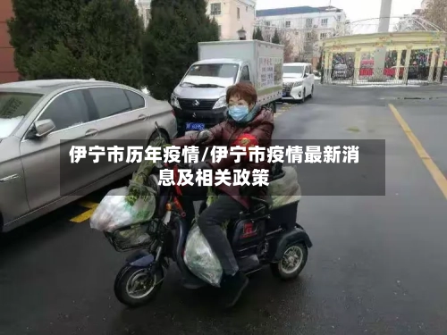 伊宁市历年疫情/伊宁市疫情最新消息及相关政策-第3张图片