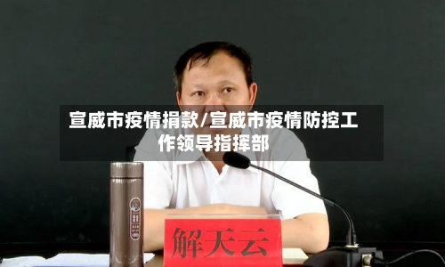 宣威市疫情捐款/宣威市疫情防控工作领导指挥部-第2张图片