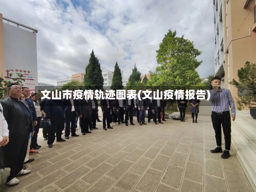 文山市疫情轨迹图表(文山疫情报告)-第2张图片